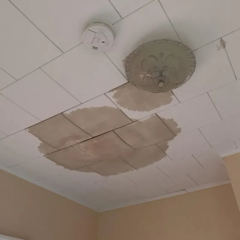 Ceiling Water Damage Repair in Plainedge, NY